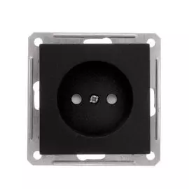 Розетка Systeme Electric RS16-151-6-86 Wessen 59 б/з, черный бархат