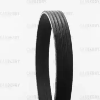 Ремень поликлиновой CARBERRY 5PK491