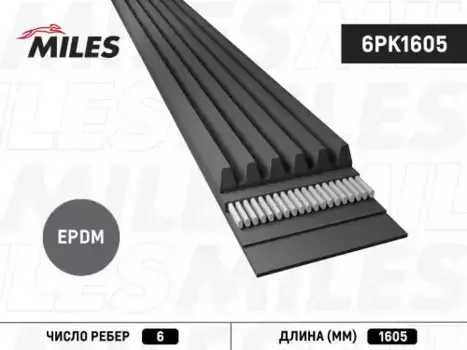 Ремень поликлиновой MILES 6PK1605