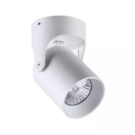 Спот Corsus 3854/1C (Odeon Light)