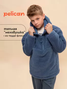 Толстовка,худи для мальчиков Pelican, Синий