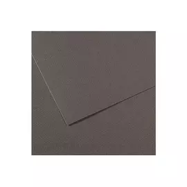 Бумага для пастели Canson "MI-TEINTES" 50x65 см 160 г №345 шифер