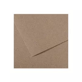 Бумага для пастели Canson "MI-TEINTES" 50x65 см 160 г №431 серый с разводами
