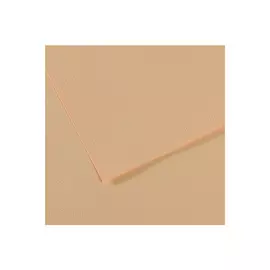 Бумага для пастели Canson "MI-TEINTES" 50x65 см 160 г №350 золотисто-розовый