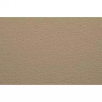Бумага для пастели Fabriano "Тiziano" 21x29,7 см 160 г №04 сахара