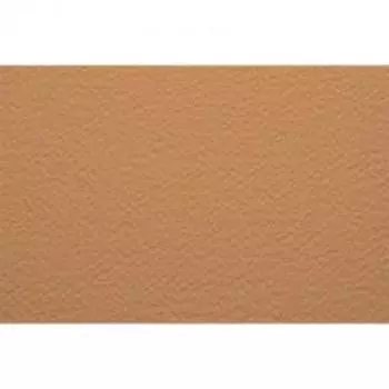 Бумага для пастели Fabriano "Тiziano" 21x29,7 см 160 г №05 насыщенный кремовый