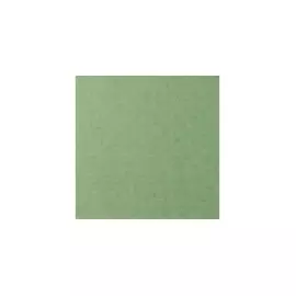 Бумага для пастели Lana "COLOURS" 21x29,7 см 160 г зеленый сок