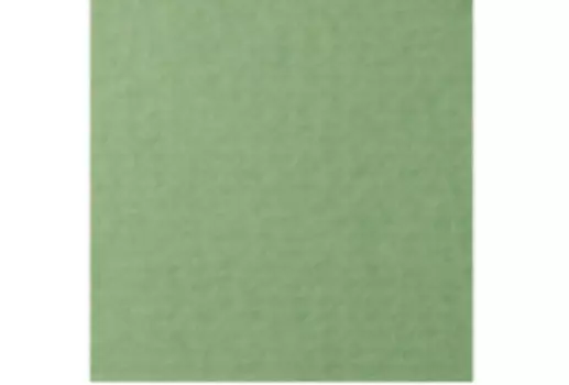 Бумага для пастели Lana "COLOURS" 29,7x42 см 160 г зеленый сок