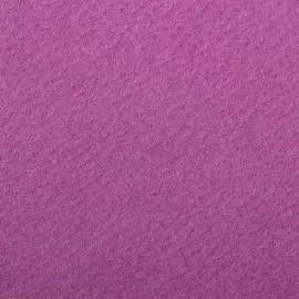 Бумага для пастели Clairefontaine "Etival color" 50x65 см, 160 г фиолетовый