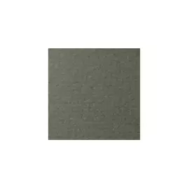 Бумага для пастели Lana "COLOURS" 50x65 см 160 г виридоновый зеленый