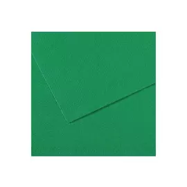 Бумага для пастели Canson "MI-TEINTES" 50x65 см 160 г №575 темно-зеленый