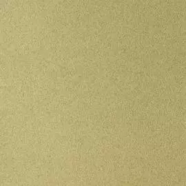 Бумага для пастели Sennelier "Pastel Card" 50*65 см 360 г, светло-зеленый