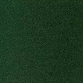 Бумага для пастели Sennelier "Pastel Card" 50*65 см 360 г, темно-зеленый