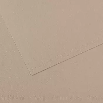 Бумага для пастели Canson "MI-TEINTES" 75x110 см 160 г №122 серый фланель
