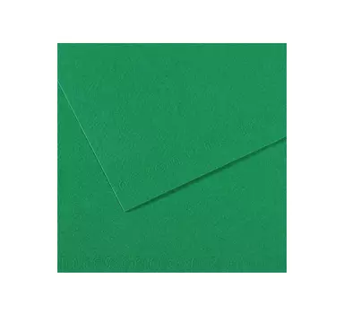 Бумага для пастели Canson "MI-TEINTES" 75x110 см 160 г №575 темно-зеленый