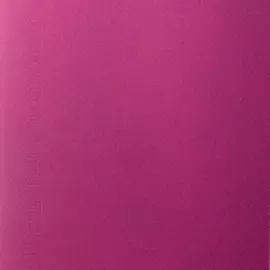 ?Бумага для пастели Canson "MI-TEINTES" 75x110 см 160 г №117 сливовый