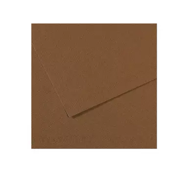 Бумага для пастели Canson "MI-TEINTES" 75x110 см 160 г №133 сепия