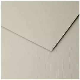 Бумага для пастели Clairefontaine "Ingres" 50x65 см, 130 г металлик