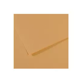 Бумага для пастели Canson "MI-TEINTES" 75x110 см 160 г №336 табачный
