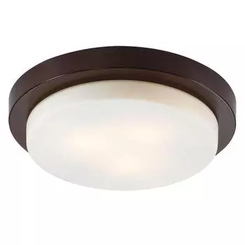 Потолочный светильник Odeon Light Holger 2744/3C