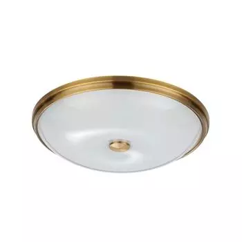 Потолочный светильник Odeon Light Pelow 4956/5