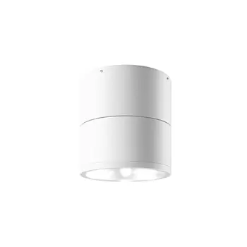 Потолочный светильник Spin 3000К 12Вт IP 54, O310CL-L12W3K