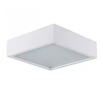 Потолочный светодиодный светильник Kanlux Mersa 25675