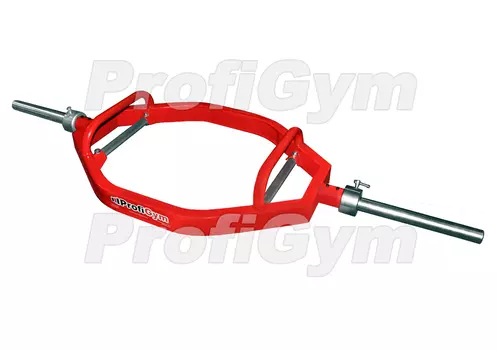 Гриф для штанги параллельный + наклонный ProfiGym L170 см D50мм ГрС-5501-K
