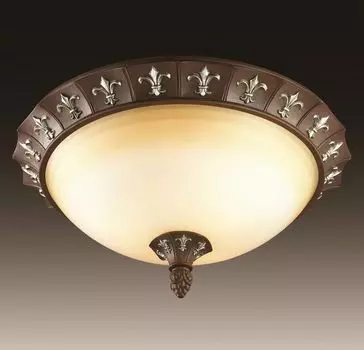 Потолочный светильник Odeon Light Ridera 2784/3C