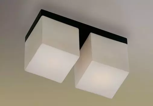 Потолочный светильник Odeon Light Cubet 2043/2C