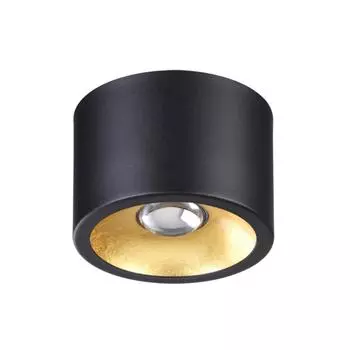 Потолочный светильник Odeon Light Glasgow 3878/1CL