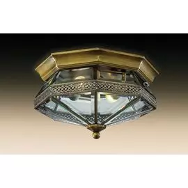 Потолочный светильник Odeon Light Lagon 2545/2