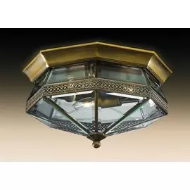 Потолочный светильник Odeon Light Lagon 2545/3