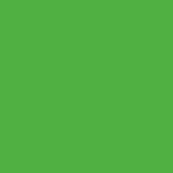 Термопленка sports film FLUO Green 401