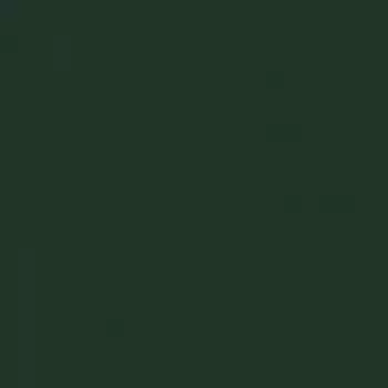 Термотрансферная пленка для плоттерной резки Hotmark 418 Forest Green