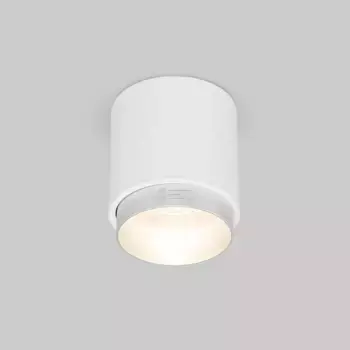 Накладной светодиодный светильник Elektrostandard Cors 25032/LED белый/серебро a062387
