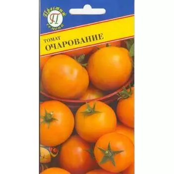 Томат Очарование Престиж