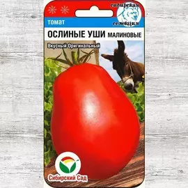 Томат Ослиные уши малиновые