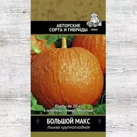 Тыква Большой Макс