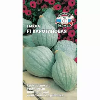 Тыква Каротиновая F1 Седек