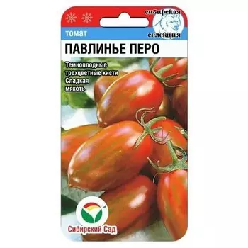 Томат Павлинье перо Сибирский сад