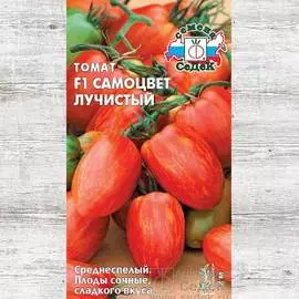 Томат Самоцвет лучистый F1