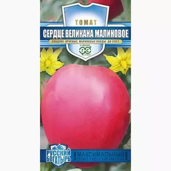 Томат Сердце великана малиновое Гавриш