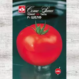 Томат Шелф F1