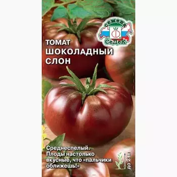 Томат Шоколадный Слон Седек