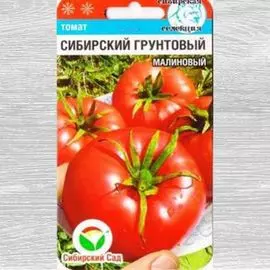 Томат Сибирский грунтовый малиновый