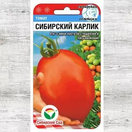 Томат Сибирский карлик