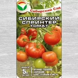 Томат Сибирский спринтер
