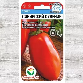 Томат Сибирский сувенир