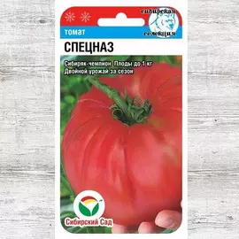 Томат Спецназ